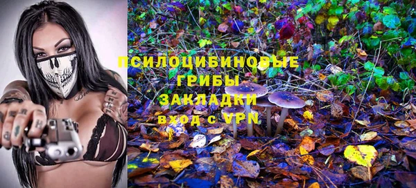 скорость Бородино